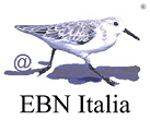 EBN Italia